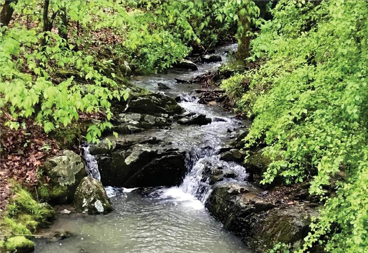 Secluded Home With Mini Waterfall And A Creek In Hot Springs Exteriér fotografie